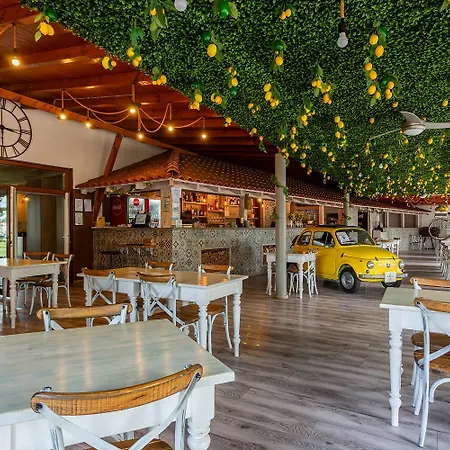 Hotell Holiday Hotel Siofok