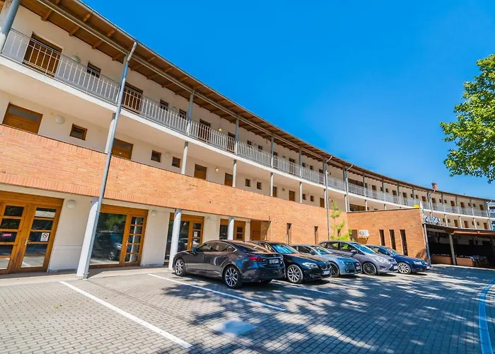 Holiday Hotel Siofok מלון שיופוק